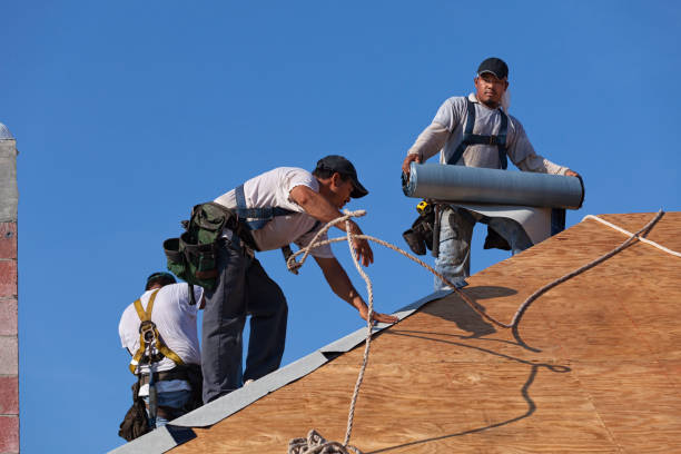 Best New Roof Installation  in Lopezville, TX