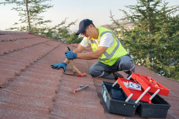 Best Storm Damage Roof Repair  in Lopezville, TX