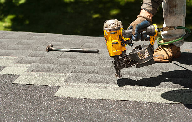 Best Metal Roofing Contractor  in Lopezville, TX